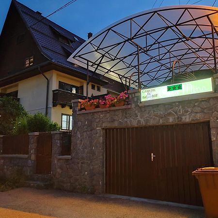 Casa Mina Hotel Szászbuda Kültér fotó